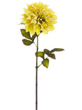 Antique Yellow