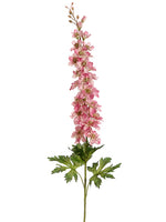 Two Tone Pink