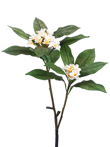 34" Frangipani Spray x2  Cream (pack of 6)