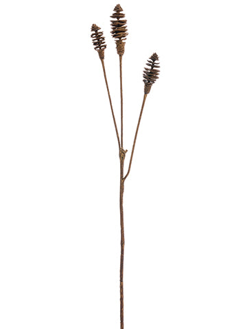 28.5" Dried Look Pod Spray  Brown (pack of 12)