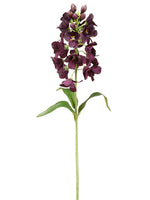 Dark Purple