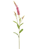 Two Tone Cerise