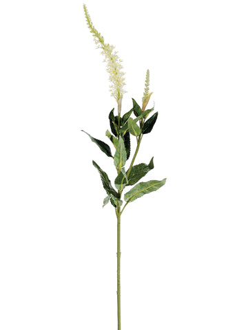 24" Foxtail Spray  Cream (pack of 12)