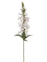 White Pink
