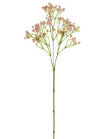 Pink Soft