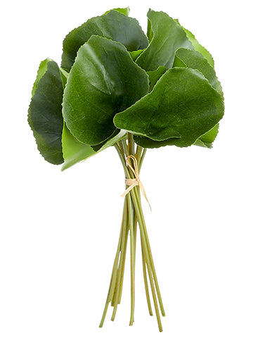 9.5" Galax Leaf Bundle x11  Green (pack of 12)