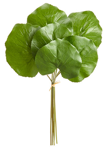 13"-14" Galax Leaf Bundle x6  Green (pack of 12)
