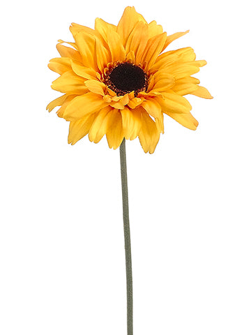 24" Gerbera Daisy Spray  Yellow Gold (pack of 12)