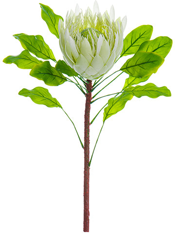 39" Torch Ginger Flower Branch Cream (pack of 12)
