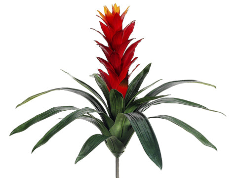 Two Tone Flame