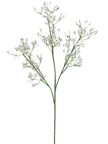 24" Gypsophila Spray  White (pack of 12)