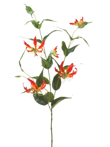 48" Gloriosa Spray  Red Yellow (pack of 6)