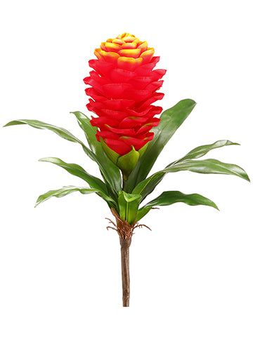 15" Ginger Spray  Flame Orange (pack of 24)