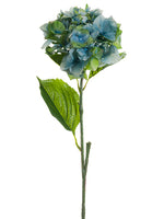 Green Blue