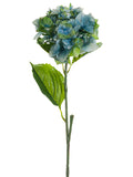 Green Blue