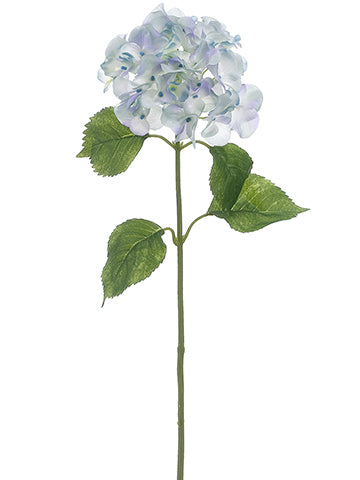 Baby Blue