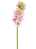 Lilac Pink