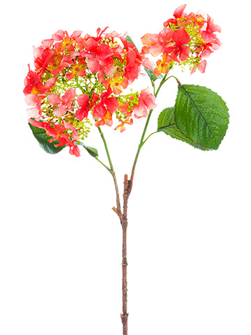 25" Hydrangea Spray  Coral (pack of 12)
