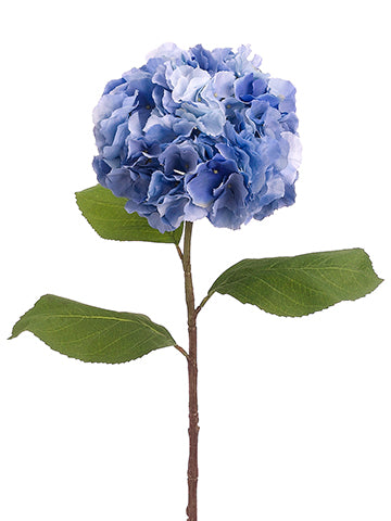 Blue Gray