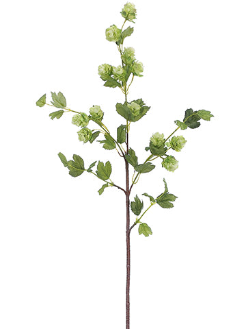36" Hop Spray  Green (pack of 12)