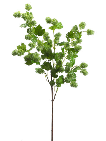 40" Hops Spray  Green (pack of 6)