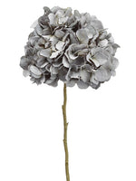 Blue Gray