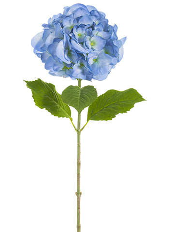 Two Tone Blue