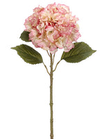 Rose Cream