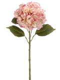 Rose Cream