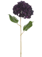 Eggplant