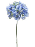 Blue Green
