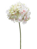 Cream Green