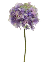 Two Tone Lavender