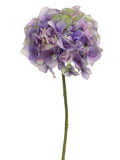 Two Tone Lavender