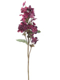 Burgundy Boysenberry