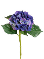 Blue Helio