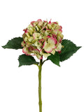 Green Fushia