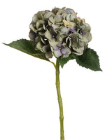 Green Purple