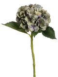 Green Purple
