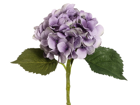 Antique Lavender