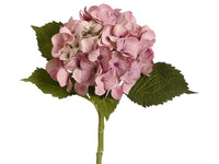 Antique Pink