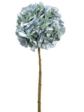 Aqua Green