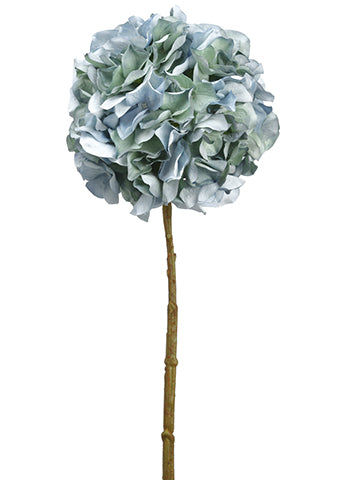 Aqua Green