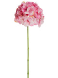 Cerise Pink