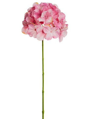 Cerise Pink