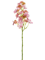 Cerise Pink