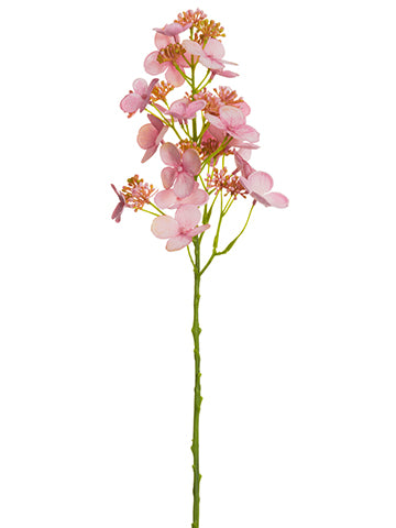 Cerise Pink