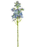 Lavender Blue