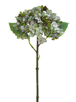Antique Green