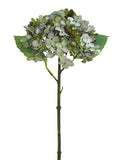 Antique Green